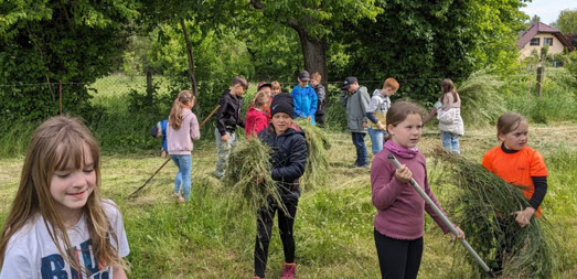 Tiere hautnah erleben