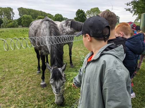 Ein Bild, das draußen, Gras, Himmel, Person enthält.

KI-generierte Inhalte können fehlerhaft sein.